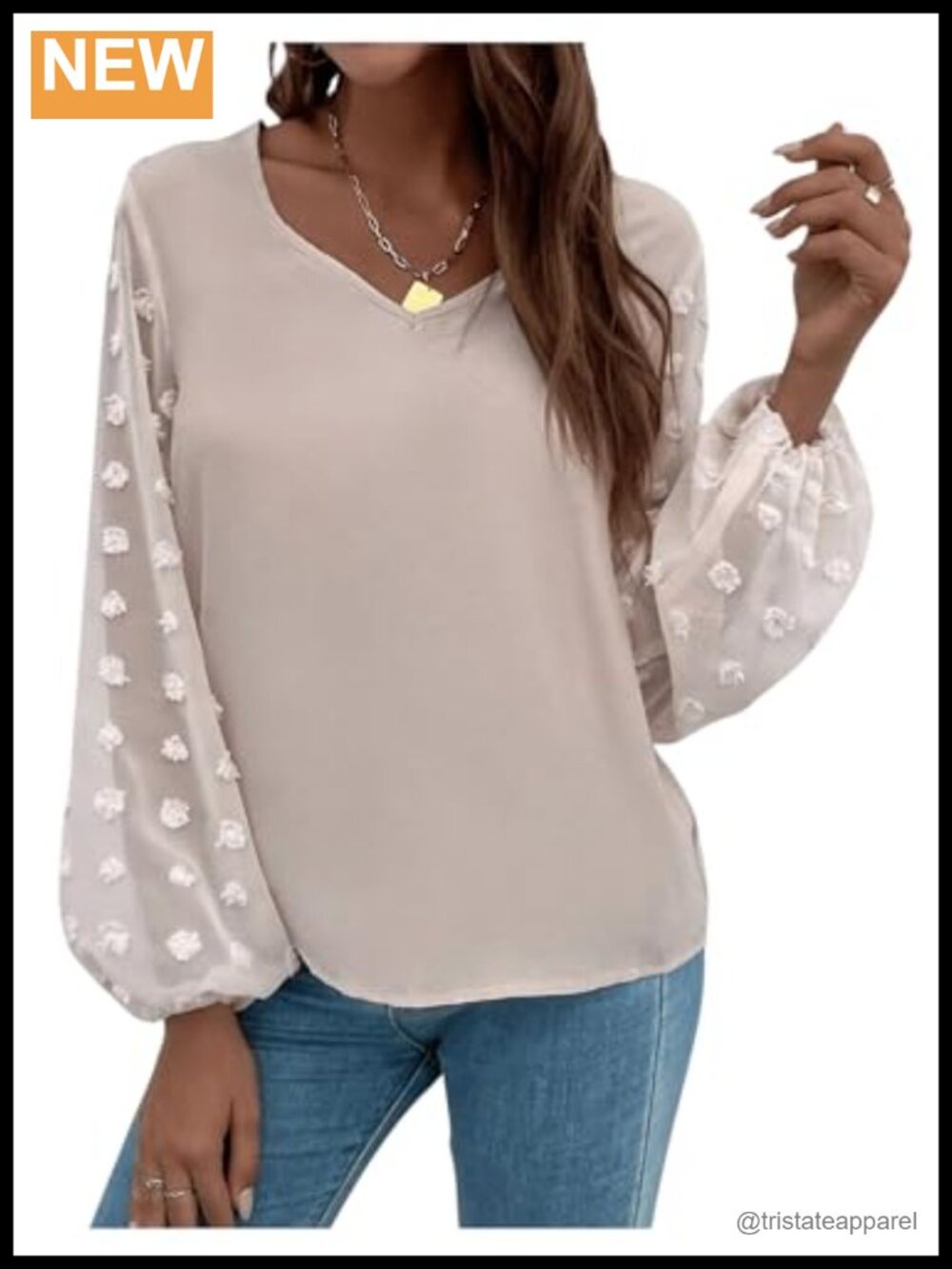 Swiss Dots Lantern Sleeve V Neck Blouse Dressy Casual Top